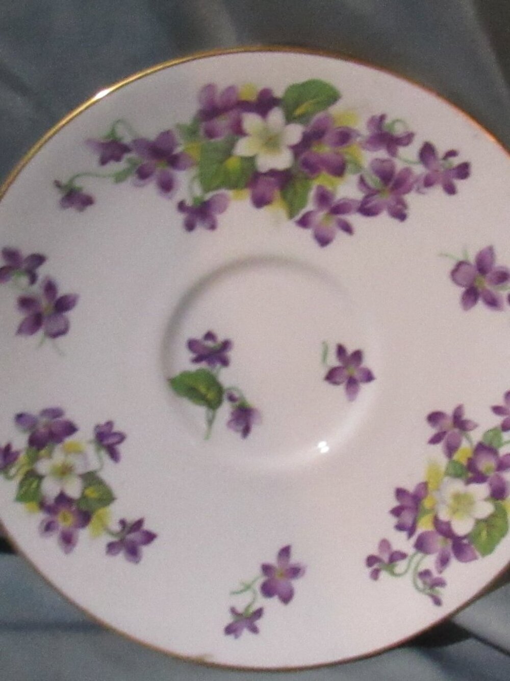 Tuscan Woodland Violets Tea Cup and Saucer, Wide Mouth, Gold Gilt Trims,    Z230 - Picture 4 of 7